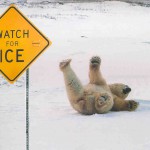 New York Slip and Fall Lawyers on Proving Fault in an Accident